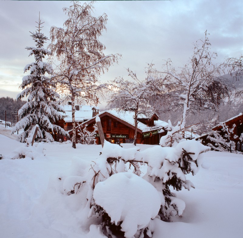 Winter Alps
Original: Film Velvia-50, 6x6cm
Scan: Imacon 6800x6800 pix.

