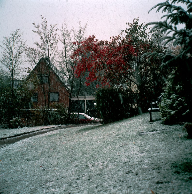 First snow
Original: Film Velvia-50, 6x6cm
Scan: Imacon 6800x6800 pix.

